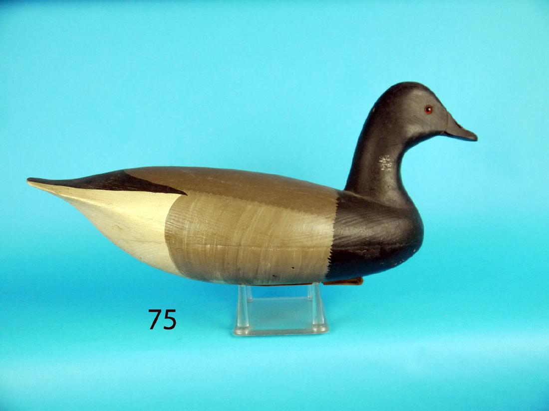 BRANT by John Hamilton (1 of 1)