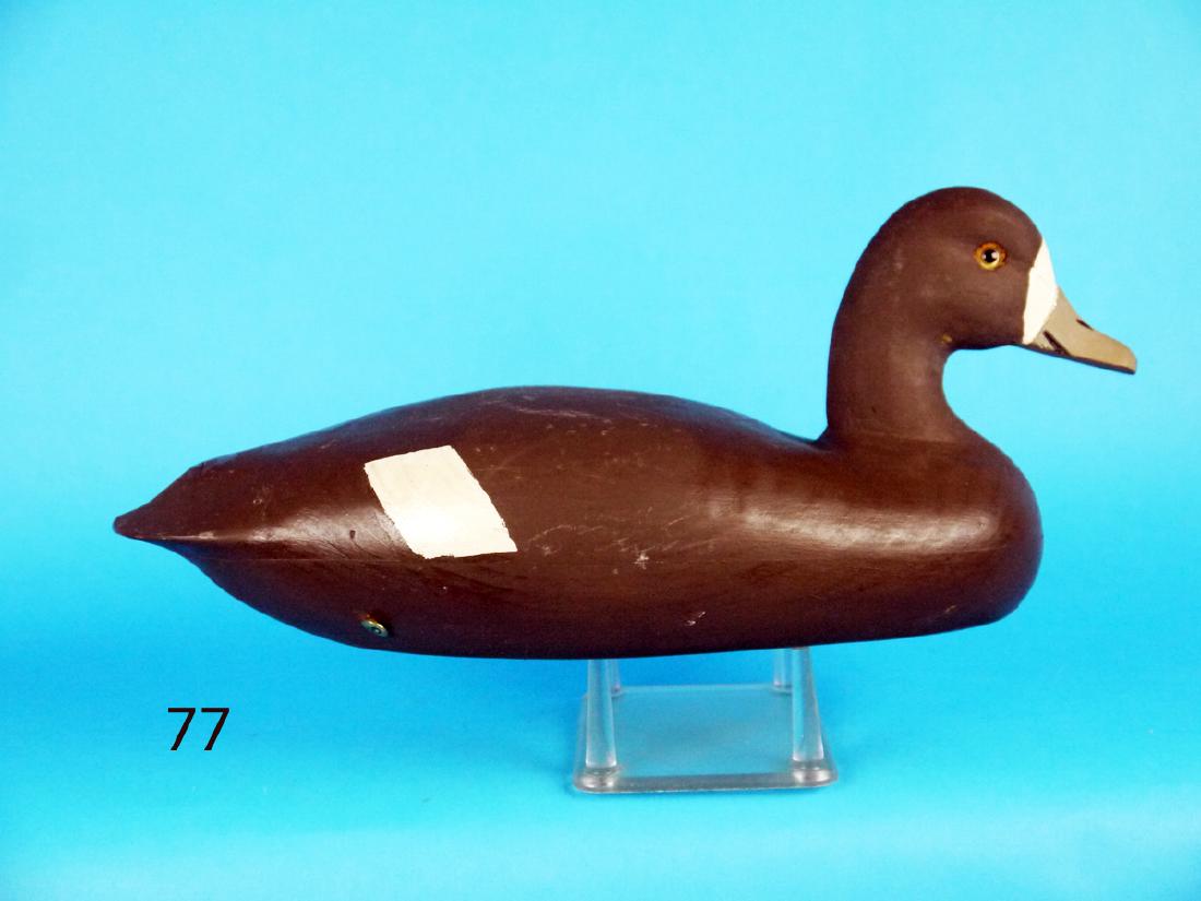 BLUEBILL HEN by "Dipper" Ortley (1 of 1)