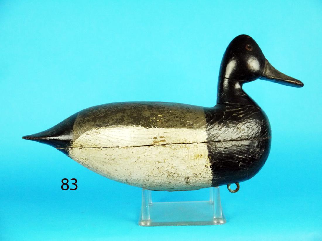 EARLY BLUEBILL DRAKE by John Updike (1 of 1)