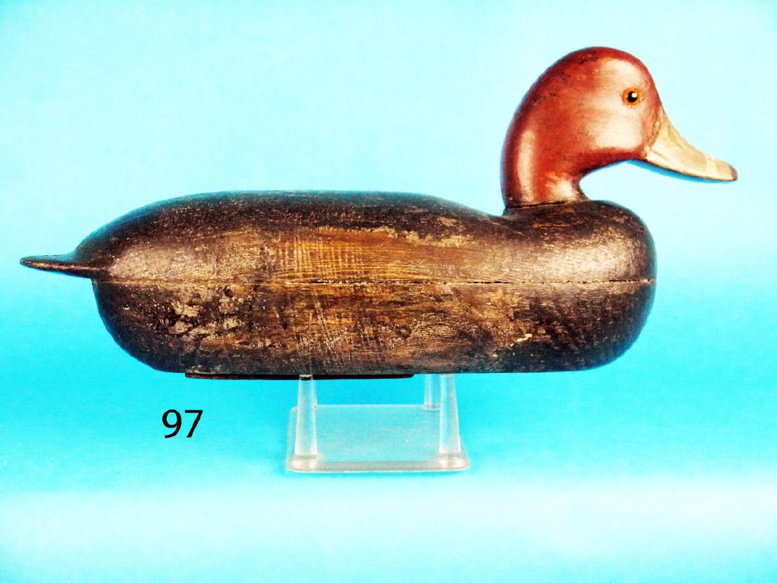 RED HEAD DRAKE by James West (1 of 1)