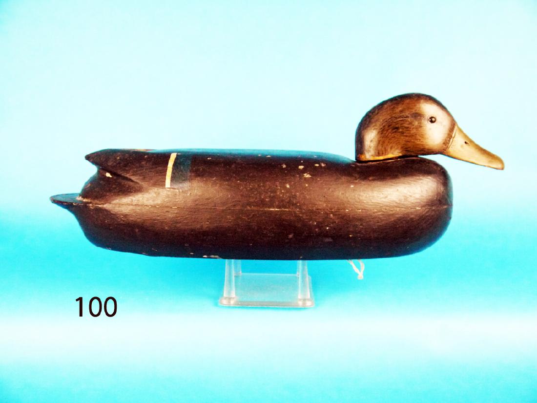 BLACK DUCK by Joe West (1 of 1)