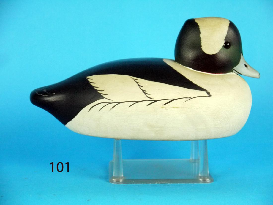 EARLY BUFFLEHEAD DRAKE by John McLoughlin (1 of 1)