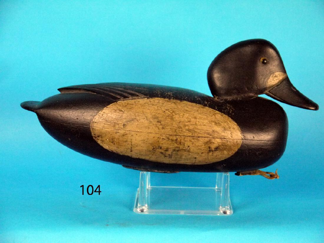 BLUEBILL HEN, ENGLISH FAMILY (1 of 1)