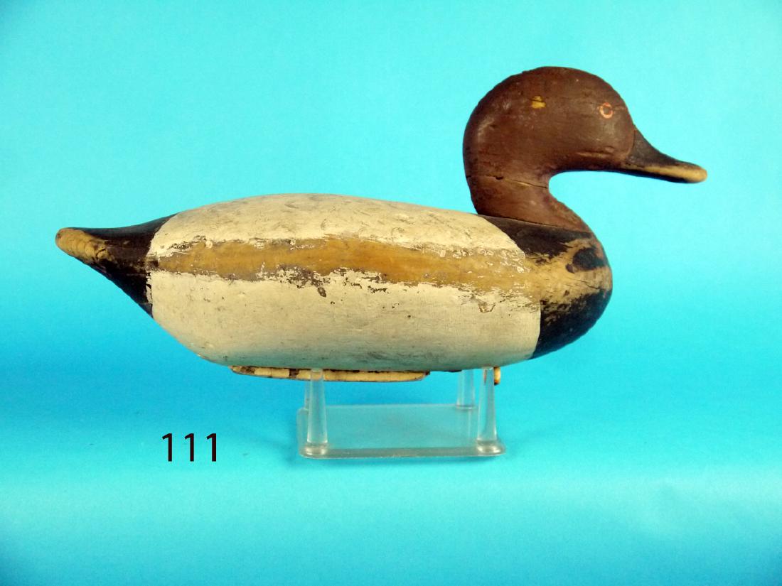 VERY EARLY DIVER, Upper Bay (1 of 1)