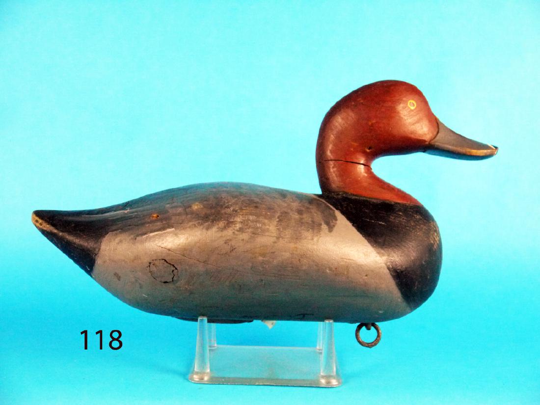 RED HEAD DRAKE by Paul Gibson (1 of 1)