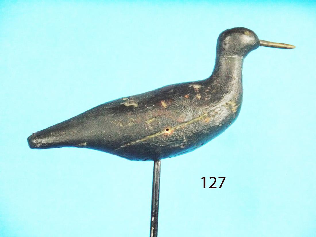 EARLY SHOREBIRD, Long Island (1 of 1)