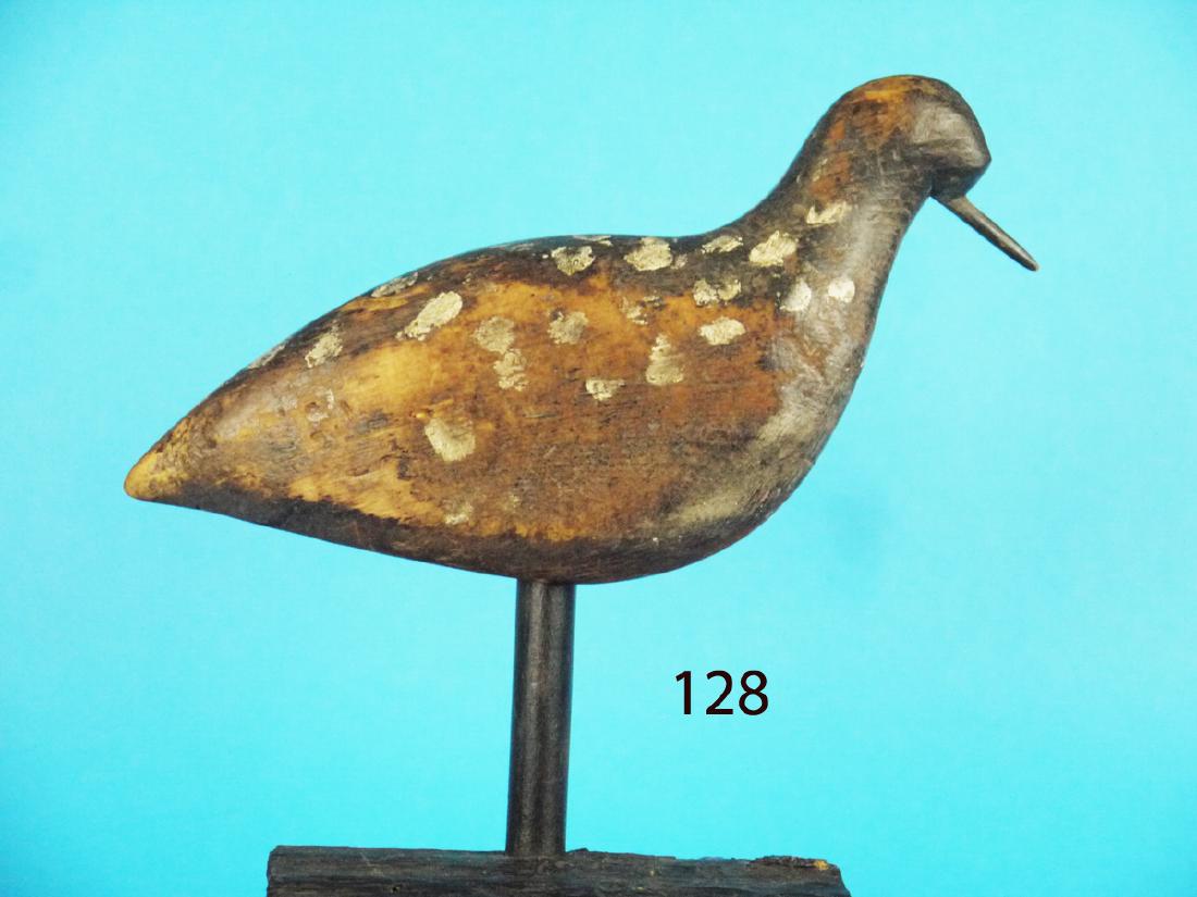 EARLY BLACK-BREAST PLOVER, VIRGINIA (1 of 1)