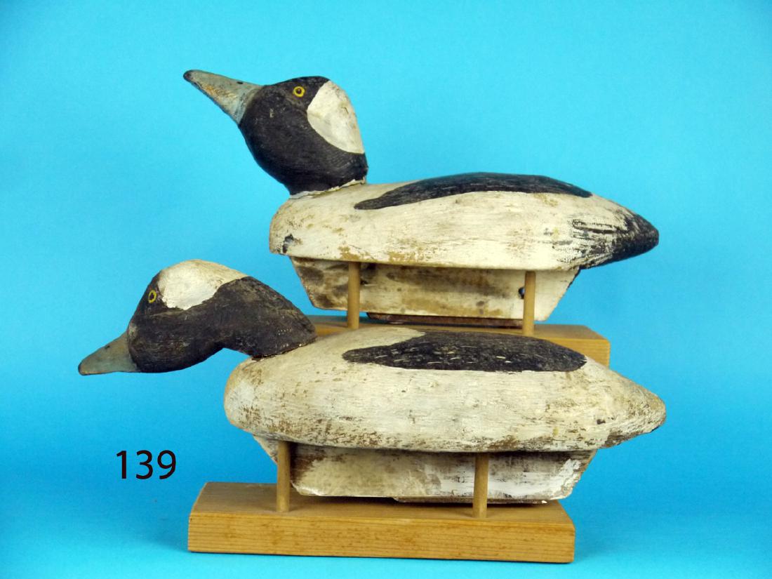 TWO BUFFLEHEAD DRAKES (1 of 1)