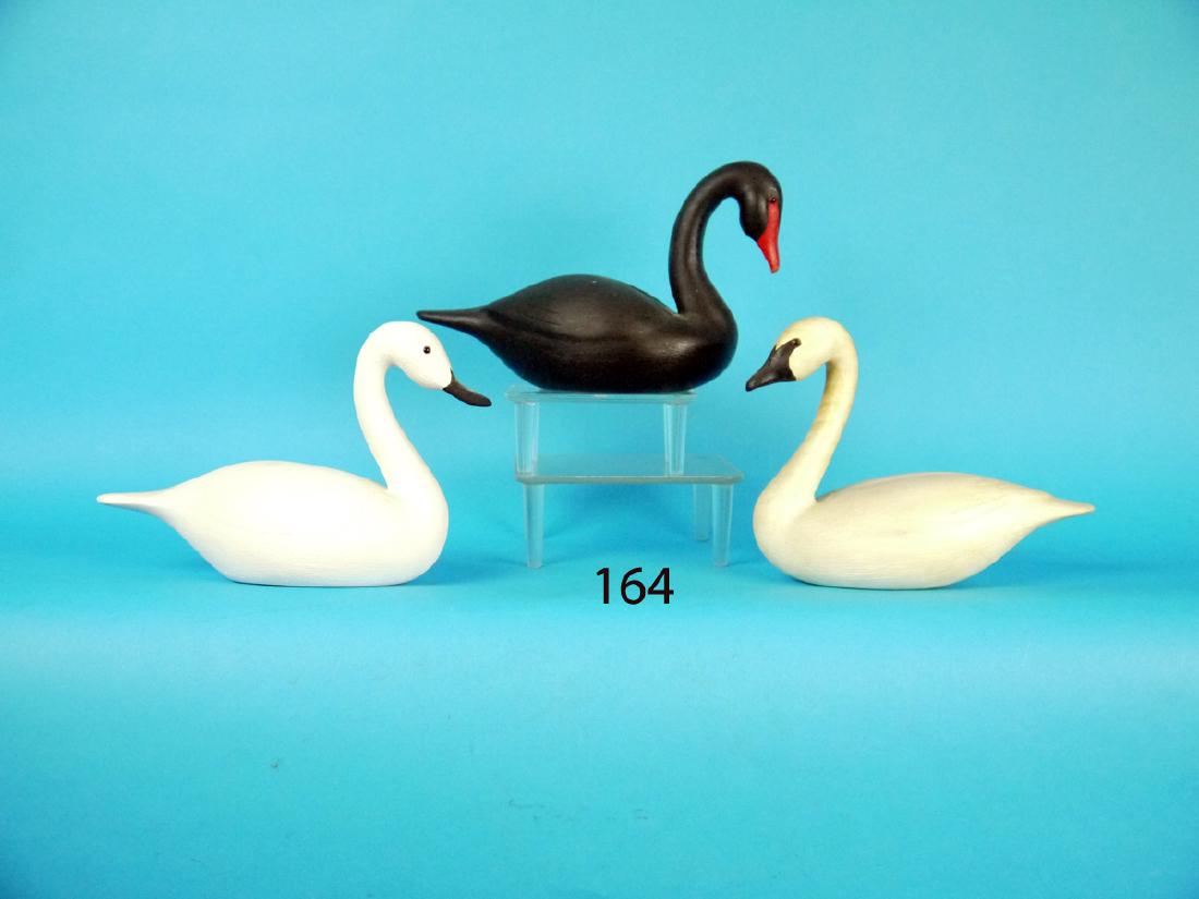 THREE MINIATURE SWANS by John Young (1 of 1)