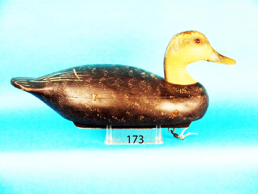 BLACK DUCK by the Wildfowler Decoy Co (1 of 1)