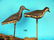 TWO TINNY SHOREBIRDS
