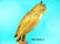 RARE OWL by the Herter's Sporting Goods Co - 3