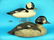 GOLDENEYE DRAKE by the Herter's Sporting Goods Co.
