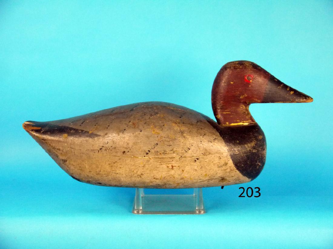 VERY EARLY FACTORY CANVASBACK DRAKE (1 of 1)