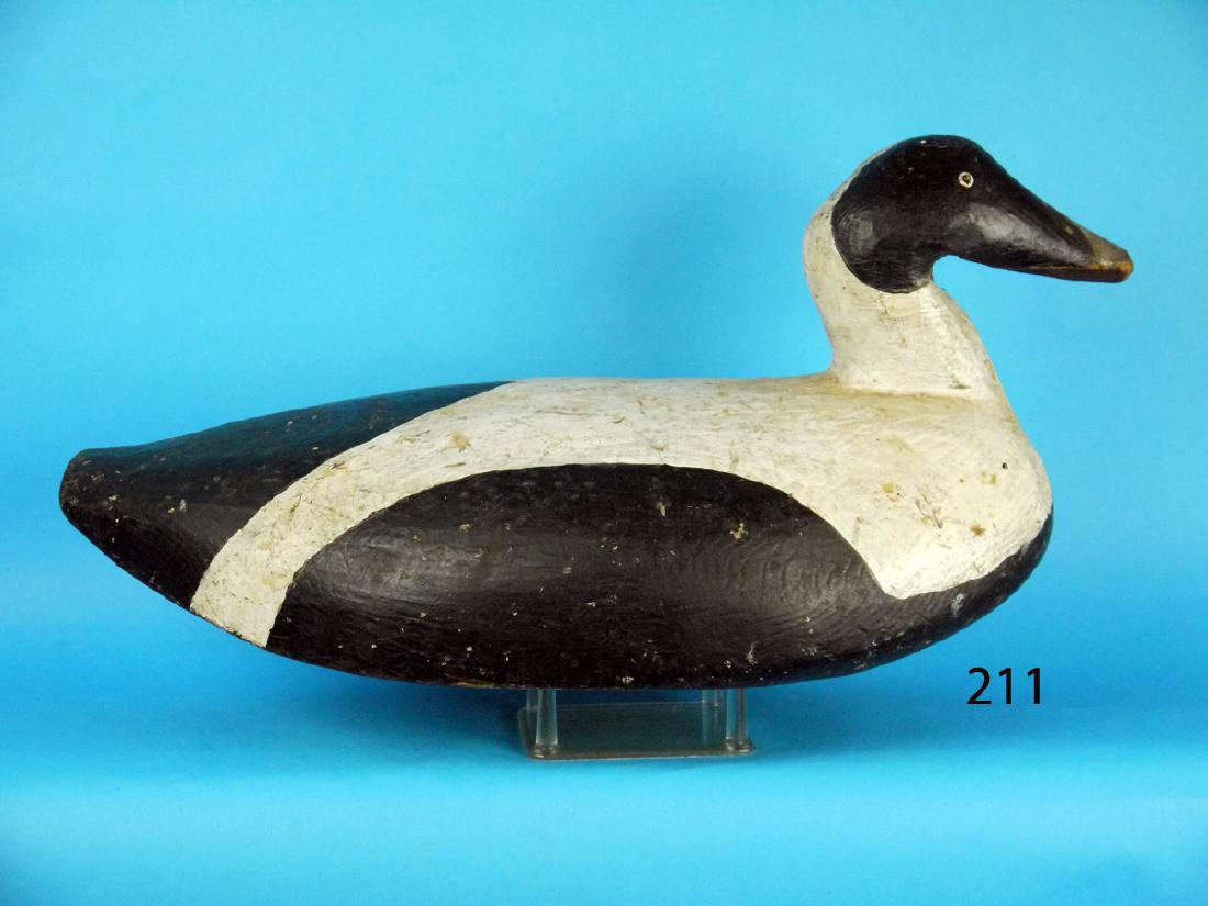 EARLY EIDER DRAKE, probably Maine (1 of 1)