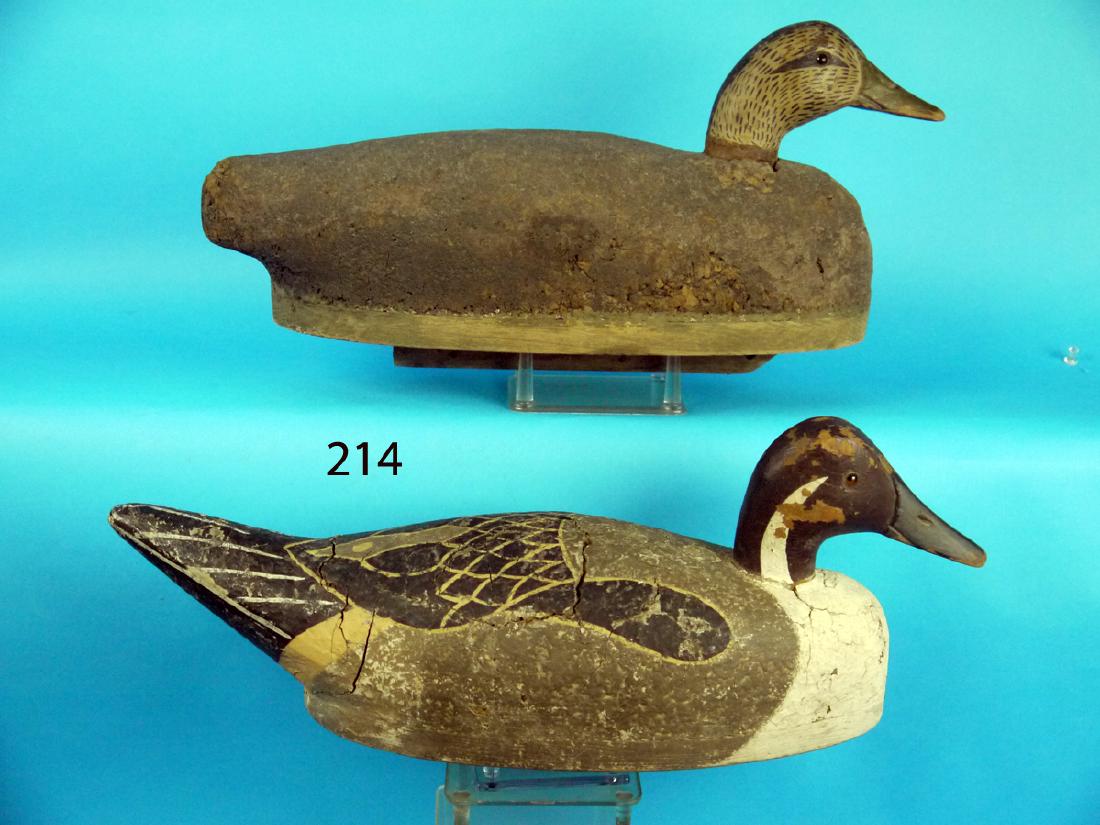 PINTAIL DRAKE AND A BLACK DUCK, possibly Long Island, (1 of 1)