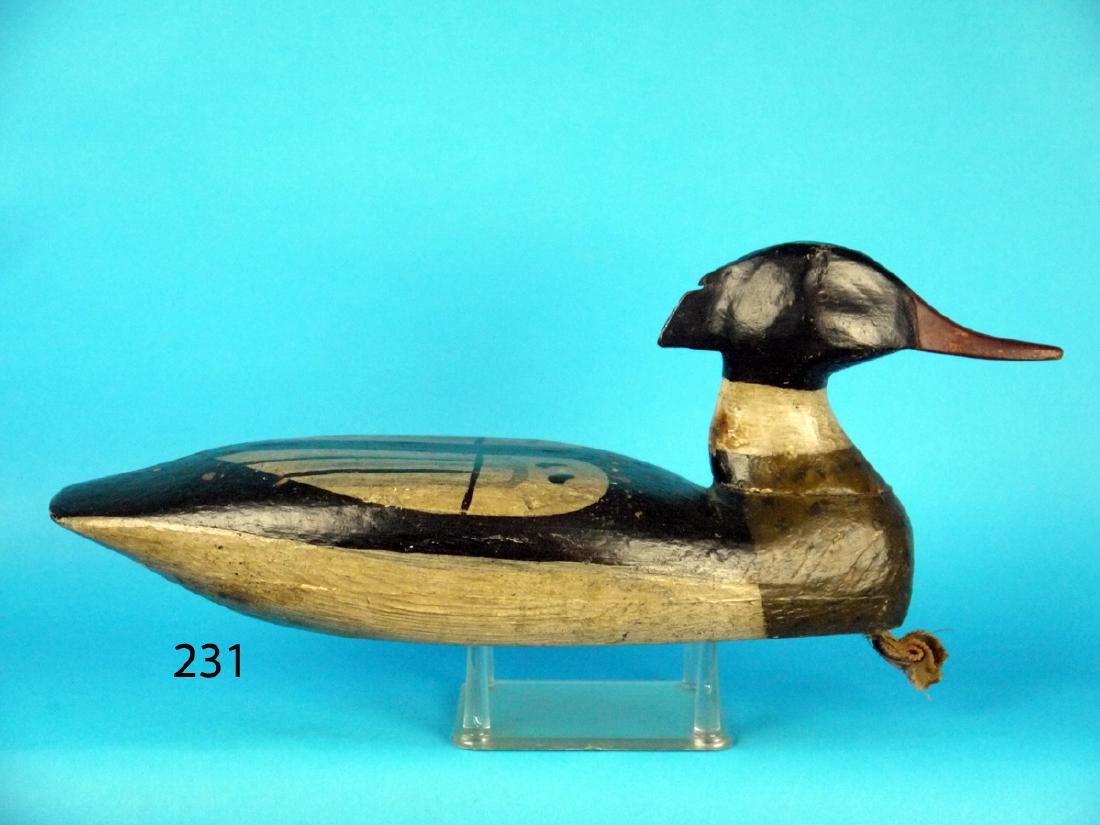 RED-BREAST MERGANSER DRAKE from the Chris Sprague rig (1 of 1)