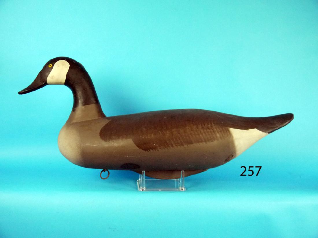 CANADA GOOSE, Upper Bay (1 of 1)