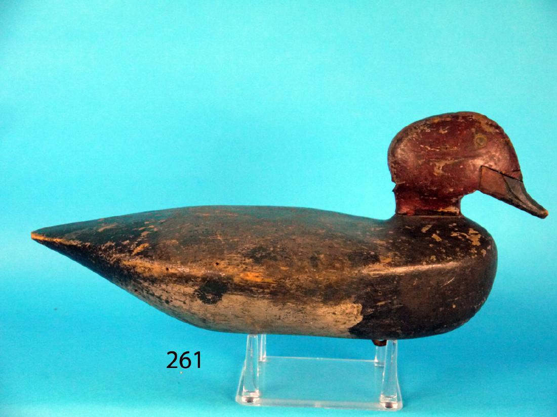 RED HEAD DRAKE, possibly the Great Lakes (1 of 1)