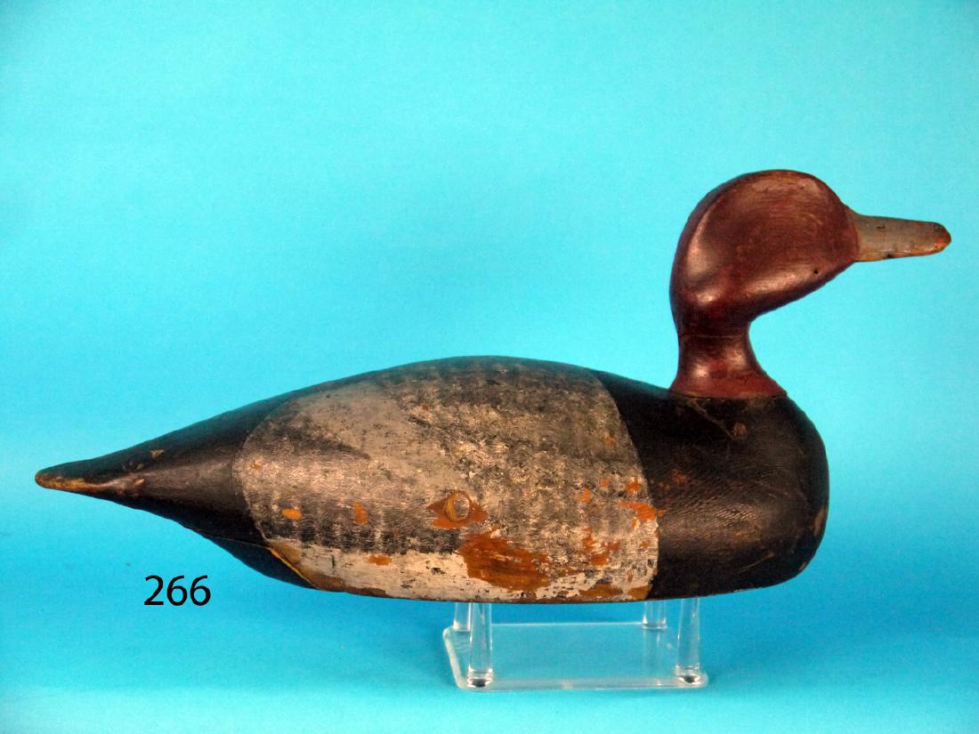 RED HEAD DRAKE, Alexandria Bay (1 of 1)