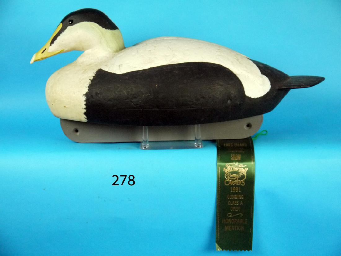 EIDER DRAKE by Joe Daley (1 of 1)