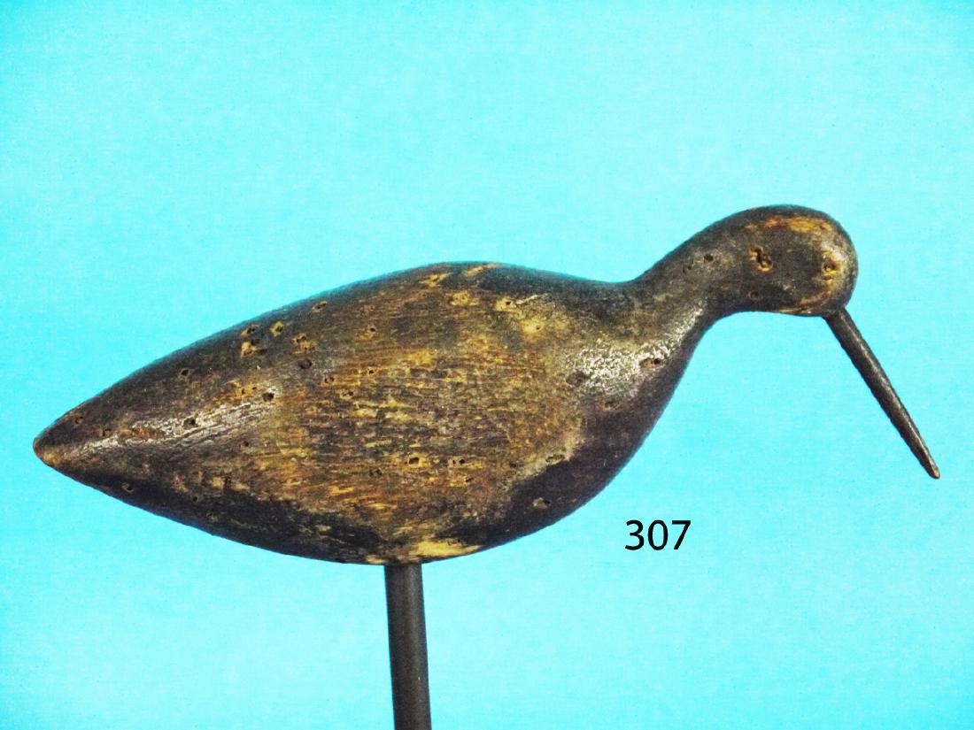 FEEDING DOWITCHER OR KNOT (1 of 1)