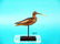 MINIATURE LONG-BILL CURLEW by Mark MCNAIR