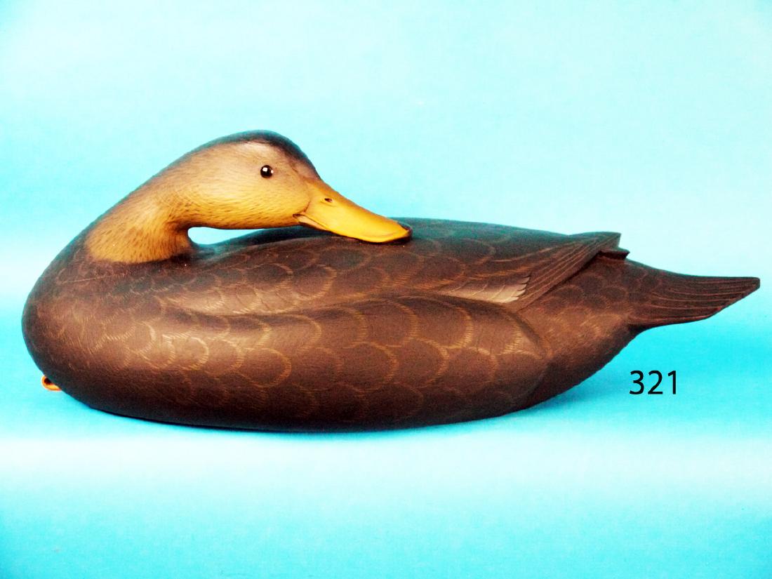 PREENING BLACK DUCK by George Strunk (1 of 1)