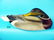 FINE MALLARD DRAKE by George Strunk