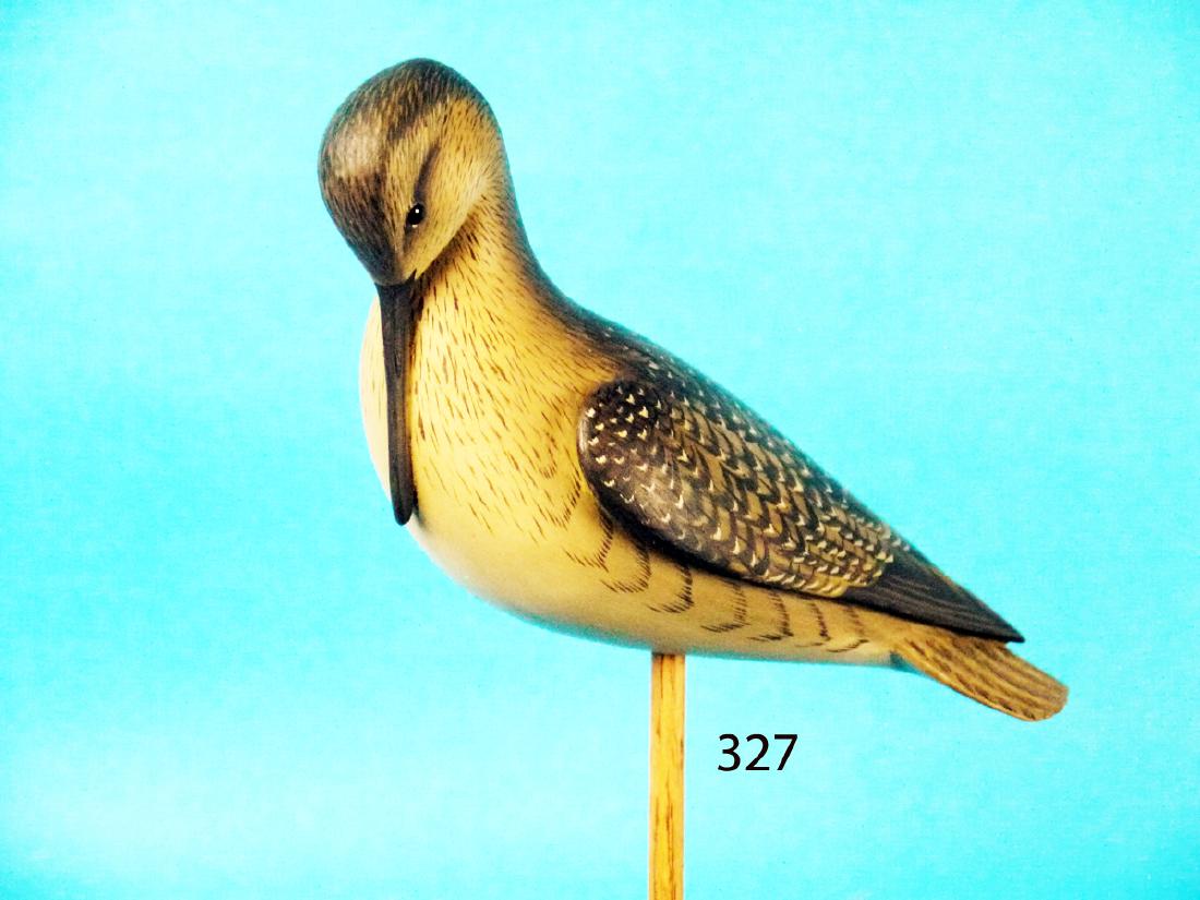 DOWITCHER by George Strunk (1 of 1)