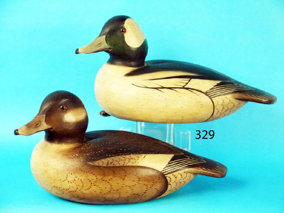 OUTSTANDING BUFFLEHEAD PAIR by Tony Murray (1 of 1)