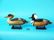 ONE-THIRD SIZE HOODED MERGANSERS by John "Jack" Wood