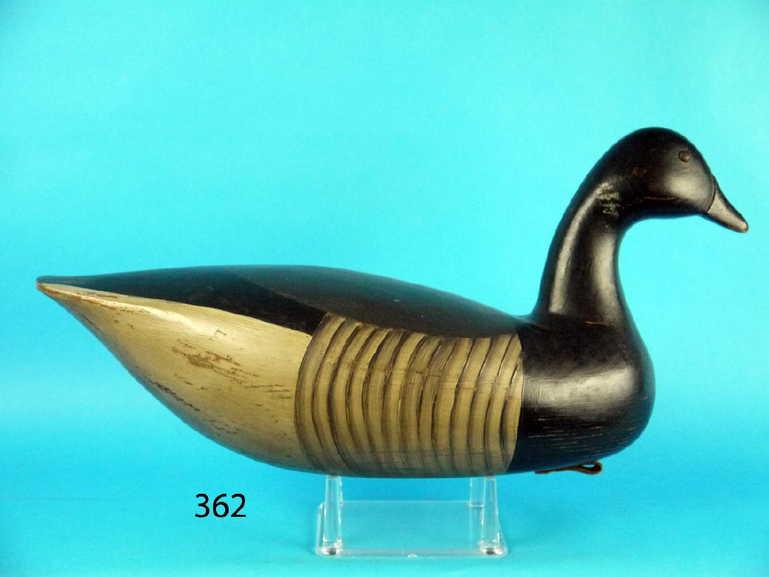 EARLY BRANT by H.V. Shourds (1 of 1)