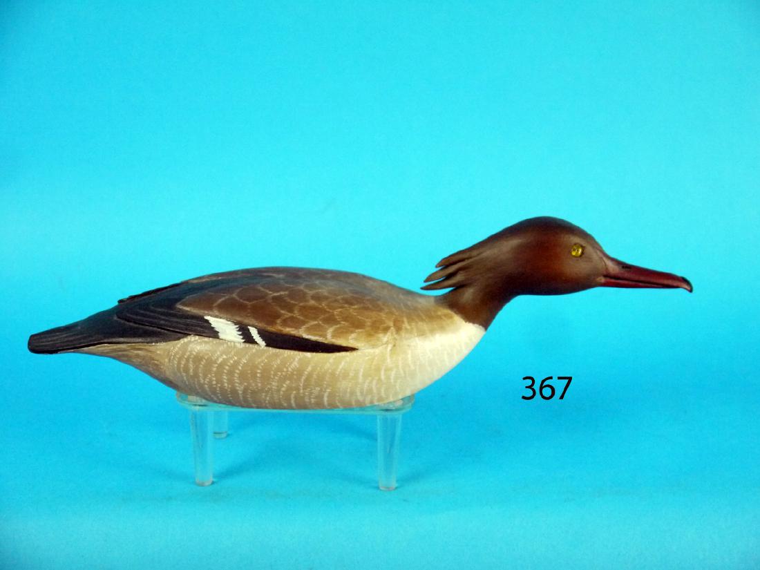 ONE-QUARTER SIZE MERGANSER HEN by Bob Belyea (1 of 1)