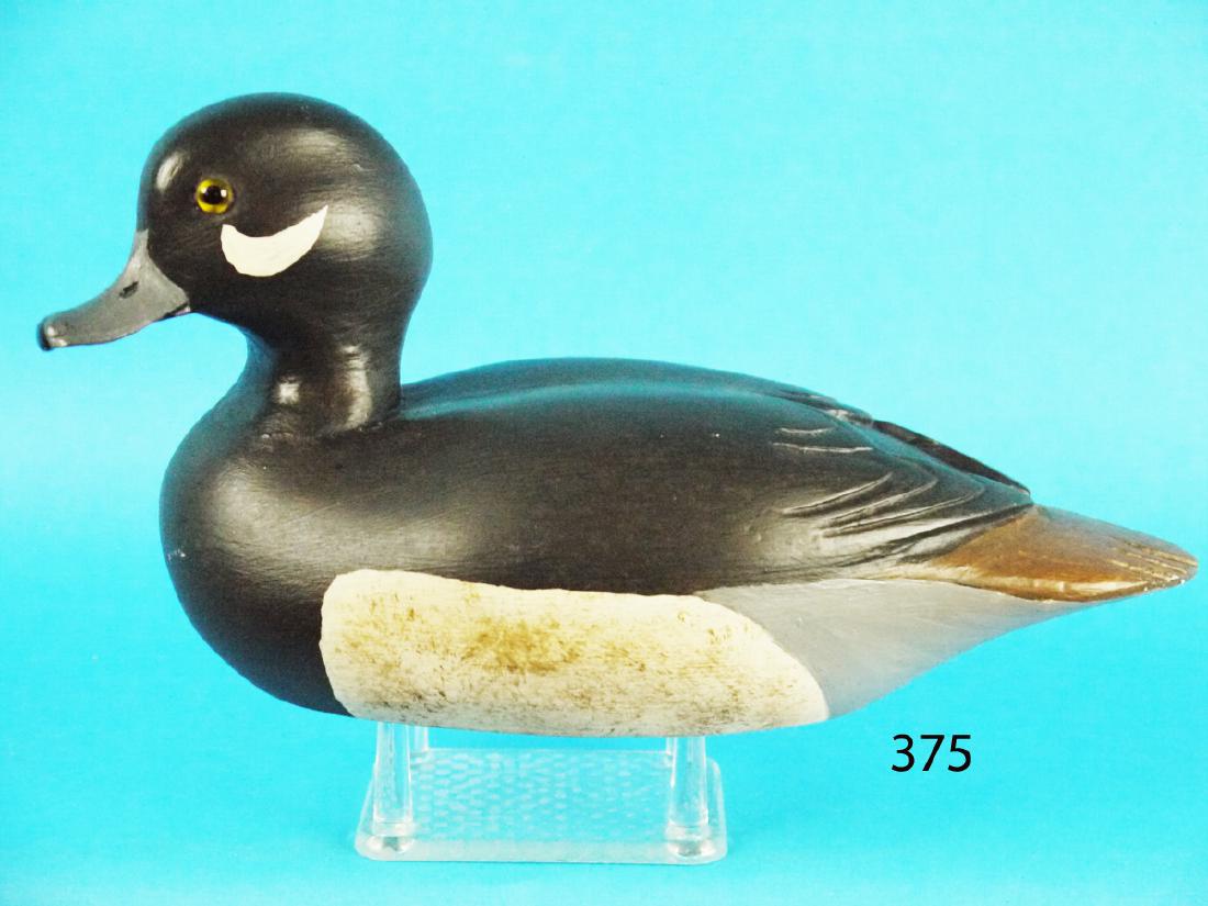 FINE BUFFLEHEAD HEN by Joseph C. West (1 of 1)