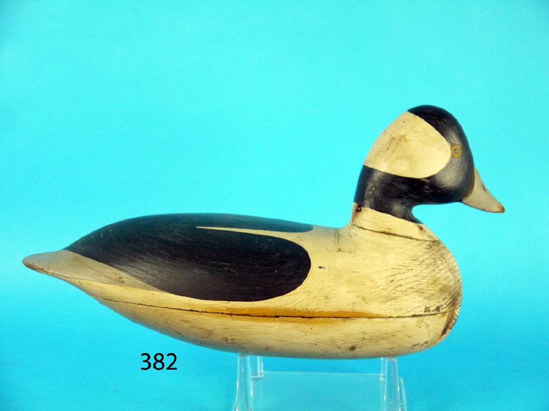 BUFFLEHEAD DRAKE, SHOURDS STYLE (1 of 1)