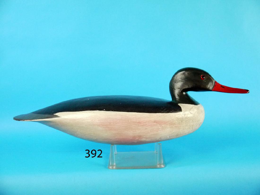 OVERSIZED AMERICAN MERGANSER DRAKE by Hurley Conklin (1 of 1)