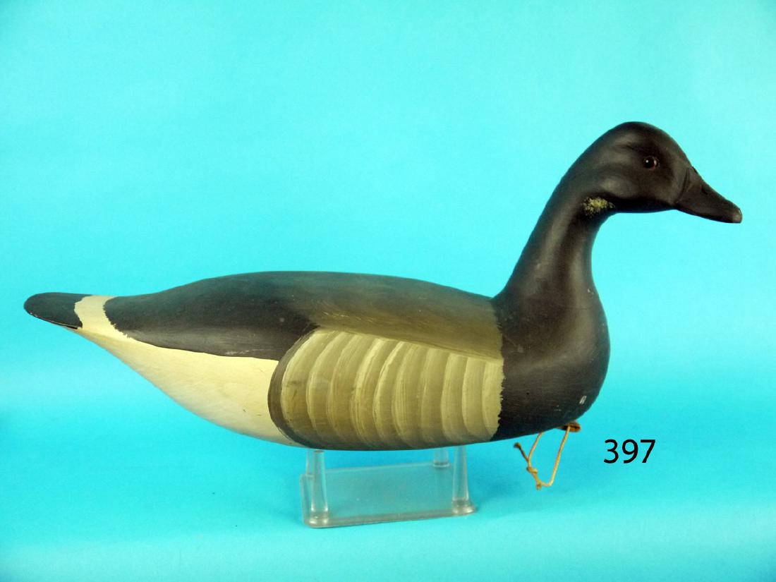 EARLY BRANT by Harry V. Shourds (1 of 1)