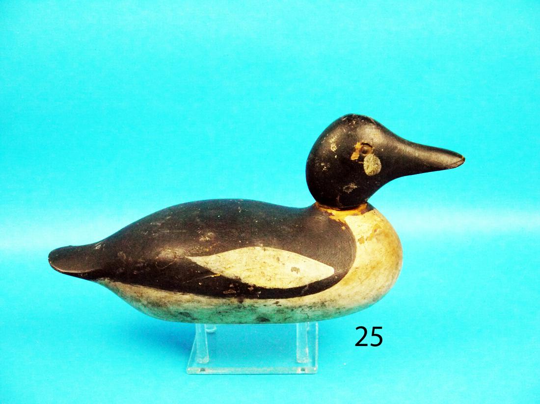 GOLDENEYE DRAKE, MASON (1 of 1)