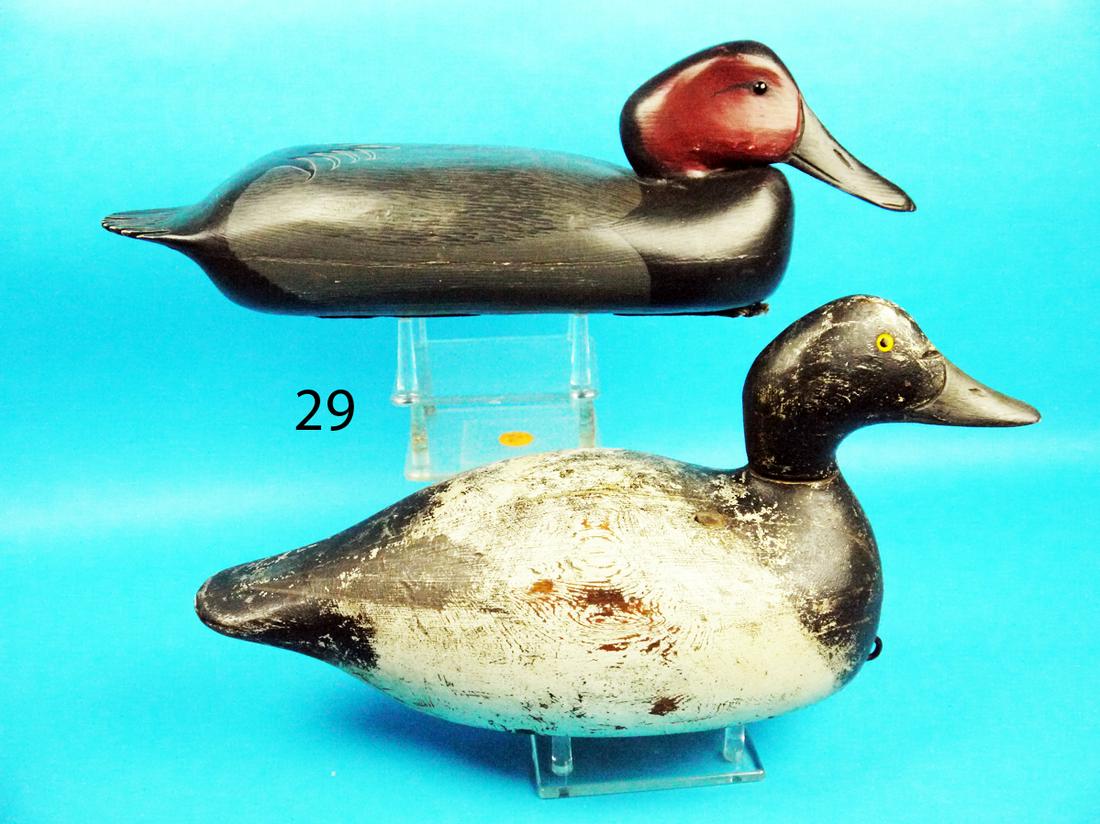 RED HEAD, DELAWARE VALLEY/CAN DRAKE, EVANS (1 of 1)