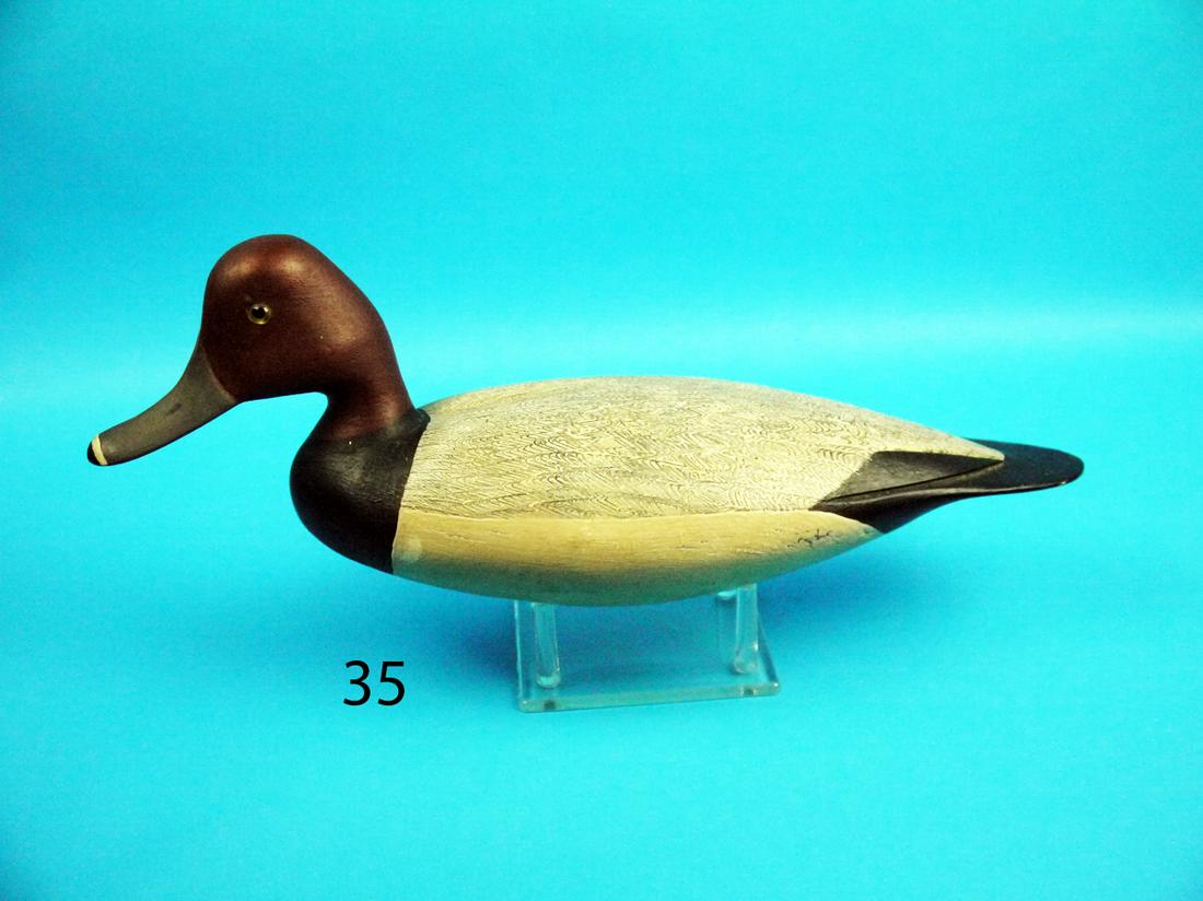 REDHEAD DRAKE, H. CONKLIN (1 of 1)