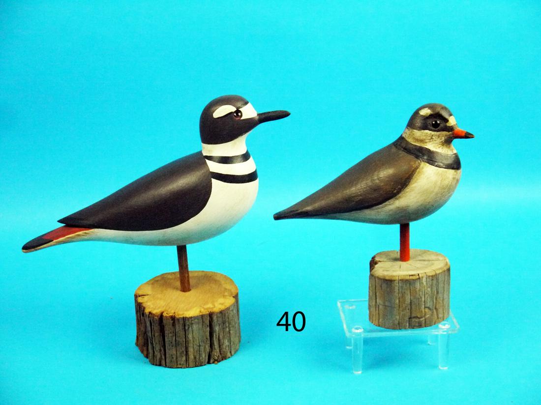 TWO PIPING PLOVERS/S. MOREY, J. HAND (1 of 1)