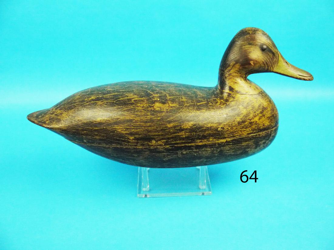 BLACK DUCK, H.V. SHOURDS (1 of 1)