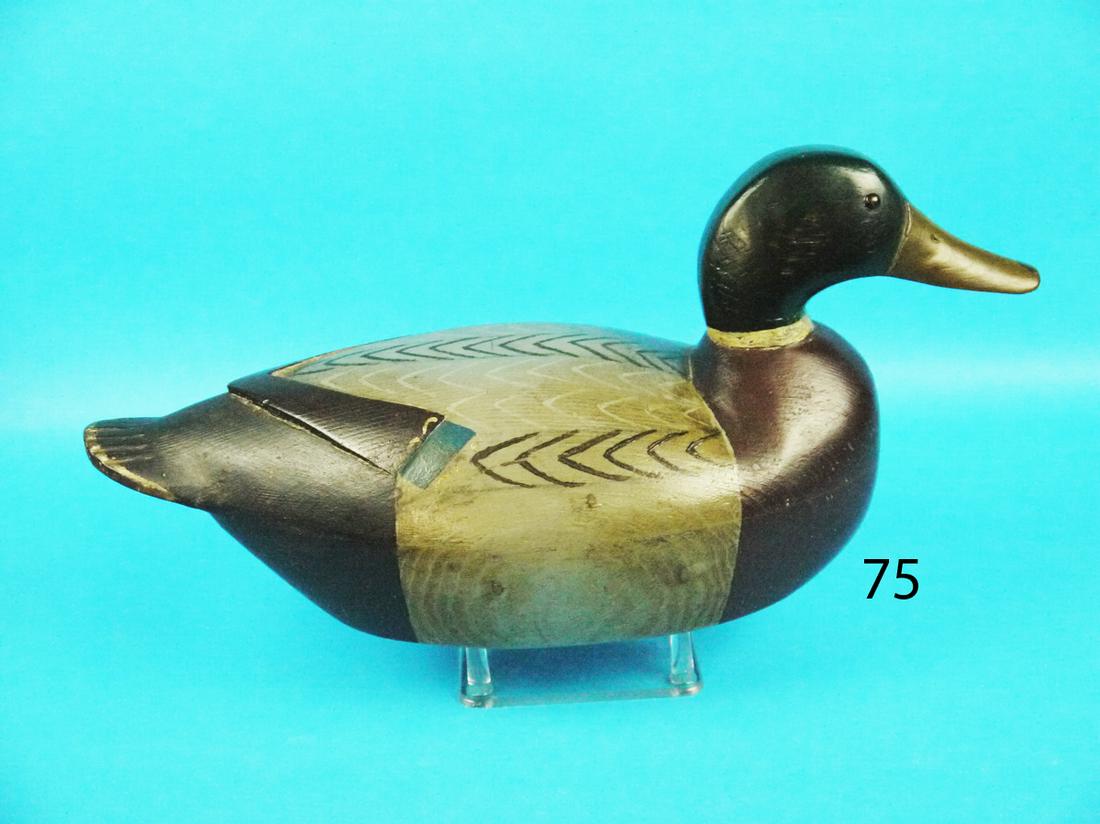 MALLARD DRAKE, H. FENNIMORE (1 of 1)