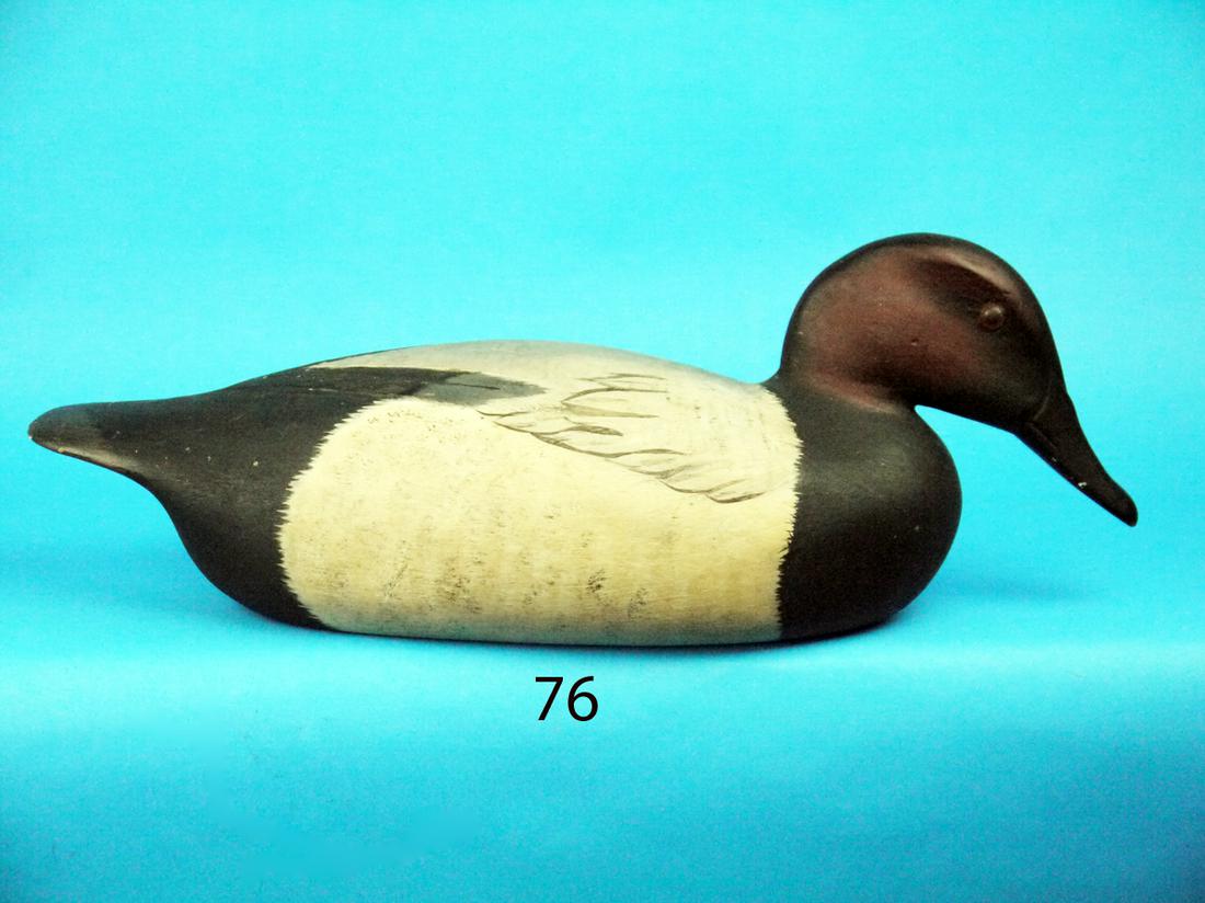 CANVASBACK DRAKE, DELAWARE RIVER (1 of 1)