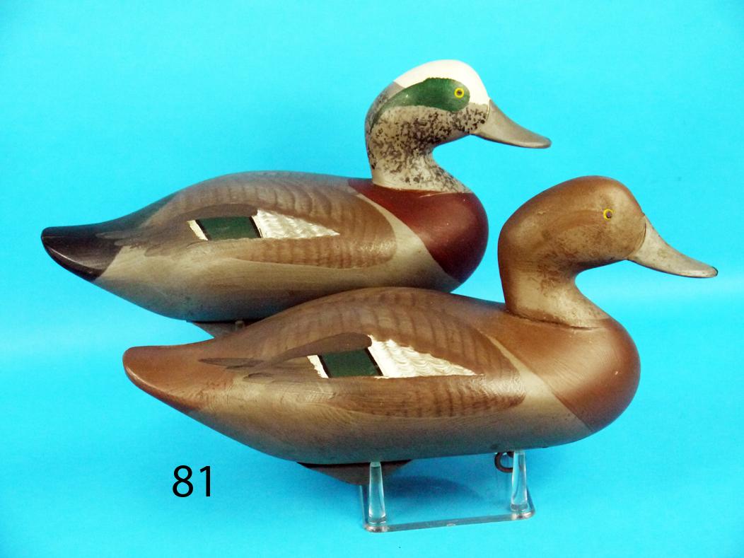 WIDGEON PAIR, R. MITCHELL (1 of 1)