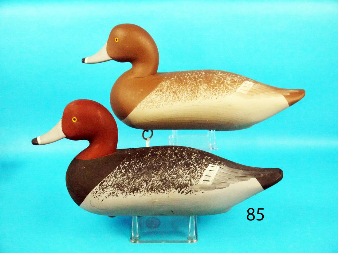 REDHEAD PAIR, C. BRYAN (1 of 1)