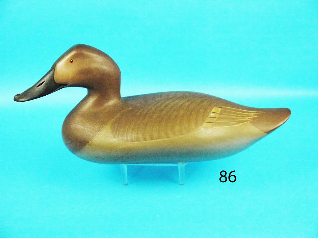 CANVASBACK HEN, R.M. MITCHELL (1 of 1)