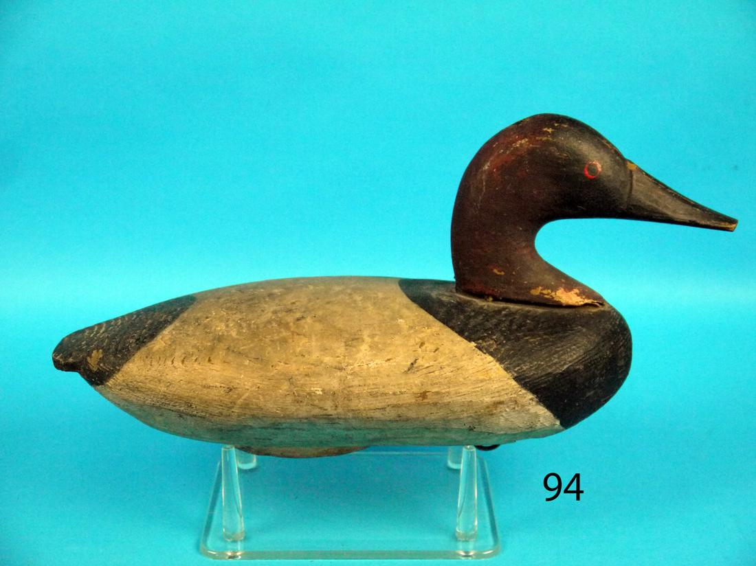 CANVASBACK DRAKE, UPPER BAY, MD (1 of 1)