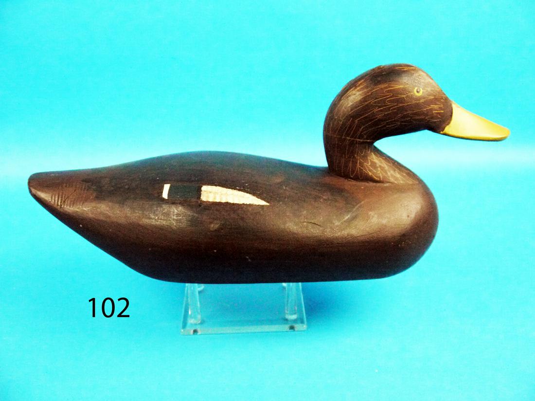 BLACK DUCK, P. GIBSON (1 of 1)